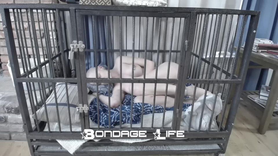 Nap Time With Greyhound - 08.25.21 Sex Clip Video Porn D...
