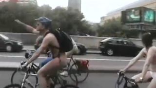 Coccozella-SiteRIP 0168-lg-WNBR-2008-4-2