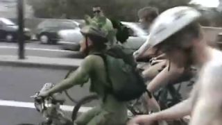 Coccozella-SiteRIP 0168-lg-WNBR-2008-4-3