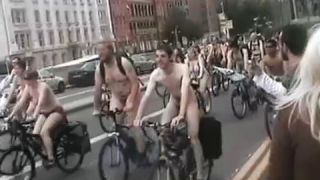 Coccozella-SiteRIP 0168-lg-WNBR-2008-4-6