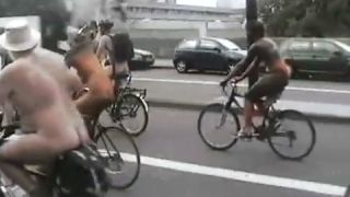 Coccozella-SiteRIP 0168-lg-WNBR-2008-4-7