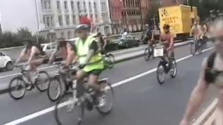 Coccozella-SiteRIP 0168-lg-WNBR-2008-4-8