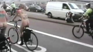Coccozella-SiteRIP 0168-lg-WNBR-2008-4-9