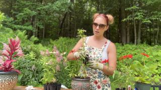 Gardening Interrupted By Sneezing And Nose Blowing Sneezegoddess (Femdom porn)-5