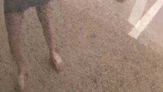 PublicFlash nicole01 all (mp4)-9