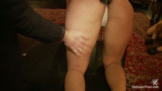 364 - Kitty &amp; Puppy Party.-3