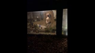 free adult clip 27 Onlyfans - Belthaneb - Would you do the right thing and just leave or would you lurk by the windows and watch me - 20-11-2021 | hardcore | hardcore porn wow hentai porn-2