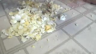 porn video 48 Lexi Lapetina - I Will Rupture Your Nuts. on masturbation porn violent femdom-7