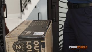 7185 Rich Bitch Bridgette B Gets All Holes Slammed By Deliver...-1