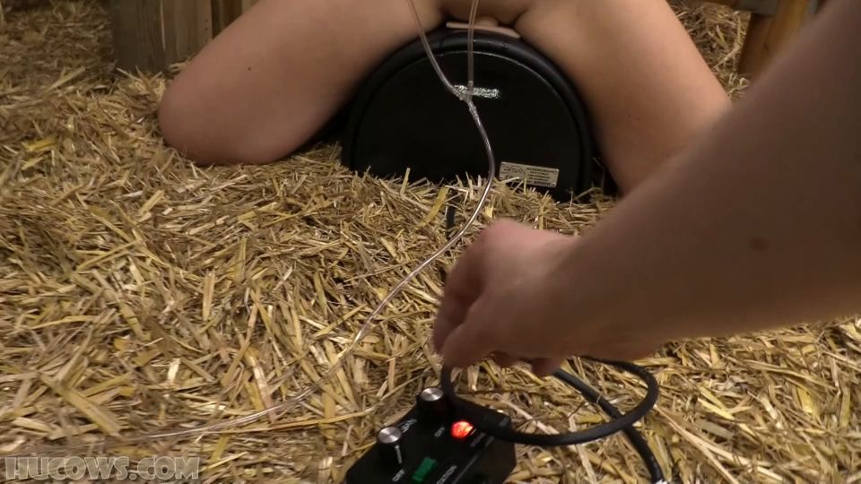 adult xxx clip 22 hand fetish porn fetish porn | Diamondlys nipple enlargement training [Full HD 1.05 GB] | bondage