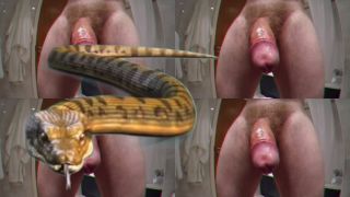 free porn video 1 Goddess Destruction - Snake Dongs 2 on femdom porn black femdom facesitting-2