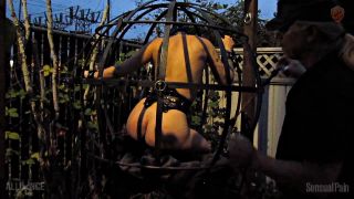 Abigail Dupree (Caged Outdoor Salacity Download New Porn ...-6