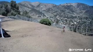 Yard Maintenance (Dirt Edition) - 12.21.20 Download Porn ...-2