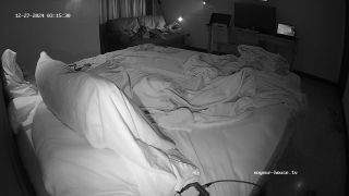 Sex In Bedroom Libra And Papi 2024-12-28 Cam2 720P - Voyeur-9