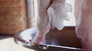 free adult video 3 Miss Ellie Mouse – Naked Goddess Takes a Bath - bondage - fetish porn bdsm bondage porn-8