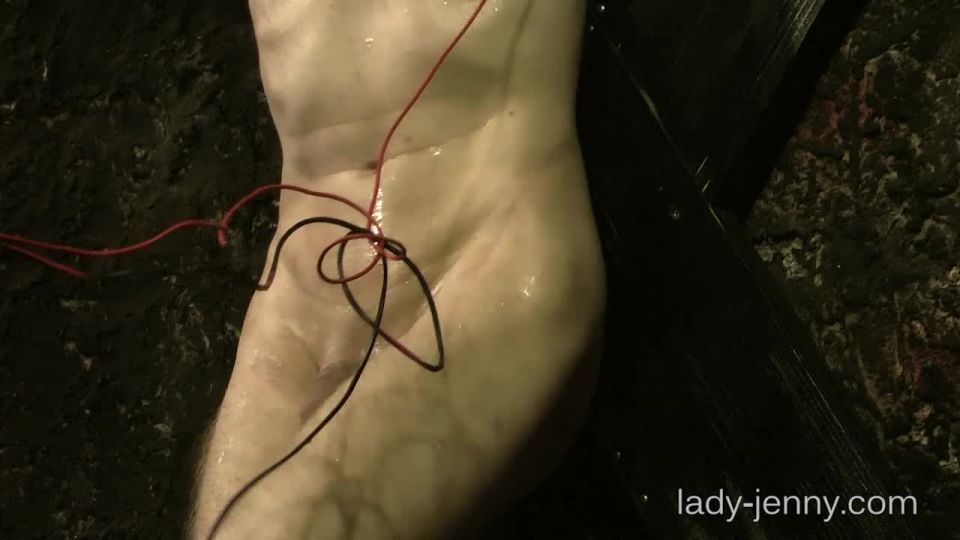 porn clip 31 femdom mainstream femdom porn | 2442 Lady-Jenny – Whip, Needles and Electro 3-3 | femdom