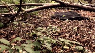free adult video 37 jasmine jae fisting fingering porn | StefanieJoy – Quick in the Woods | stefaniejoy-1