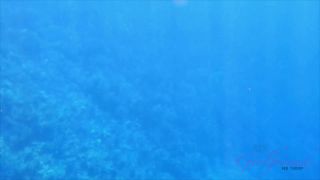 adult xxx video 21 Melody Marks Amateur Sex On Hawaii Vacation, hardcore porn funny on hardcore porn -1