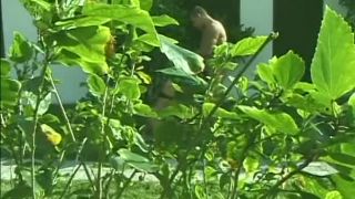 Transsexual Heartbreakers 10 Scene 4-2