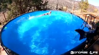 online xxx clip 10 fetish foxes femdom porn | By The Pool With Greyhound | bdsm porn-1