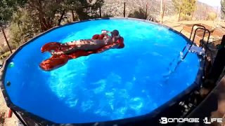 online xxx clip 10 fetish foxes femdom porn | By The Pool With Greyhound | bdsm porn-7