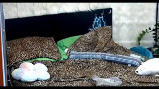 Reallifecam - Masha Feels Excited And Goes To Fuck In The Bedroom With Her Africn S Boyfriend Bbc 09.08.2024 480P - Amateur-9