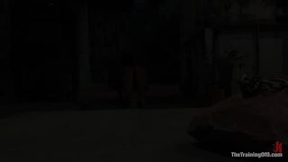 The Training of Princess Donna, Day Two Princess Donna D...-0