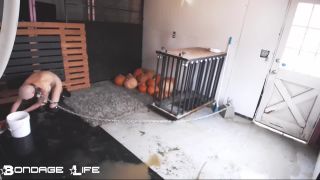 Chicken Cleanup 12.14.18 on bdsm porn femdom strapon sissy-8