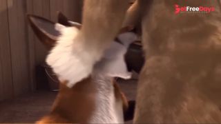 Furry Blowjobs-7