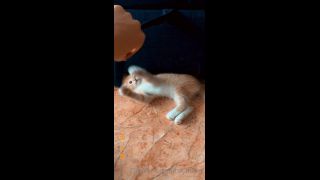 Mira - heyhorny () Heyhorny - cat therapy 22-09-2020-0