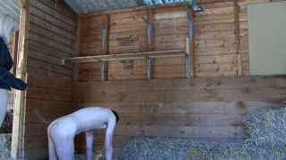 MISTRESS VIXEN - Stable Conditioning.-1