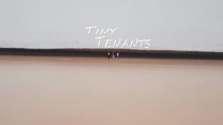 Tiny Tenants-5