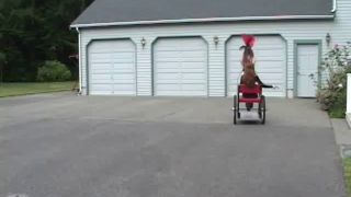 House of Gord18 12 29 Anna Rose - Pony Girl With Lydia (Scene)-6