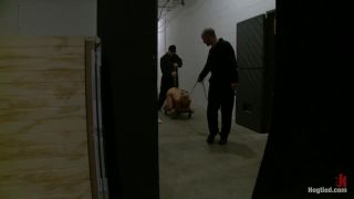 Hogtied8428 Tara-8