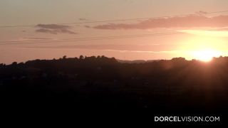 Stars - Latin Fever (2025).-2