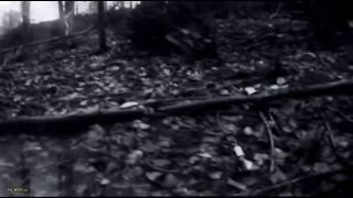 My Dirty Hobby - Deutsche Dominaz - Besamung im Wald - Mdh-3