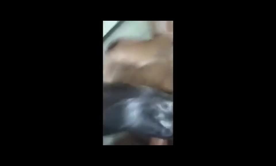 69677 Hotwife being a whore all day with her black boyfriend.