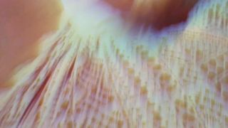 free video 13 Glitter Goddess - Sensual Desire, Sensual Control on pov public femdom-5