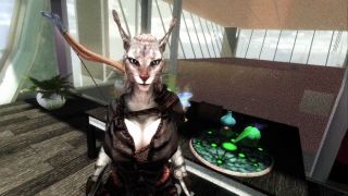 Skysegs - I fuck my cat maid - Skyrim Khajiit sex mod-6