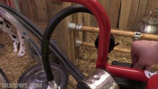 video 49 little bdsm sex Darina - More red cow milker for Darina, bondage on bdsm porn-7