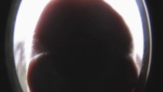 Kendall OlsenPOV-Redhead-Kissing-6