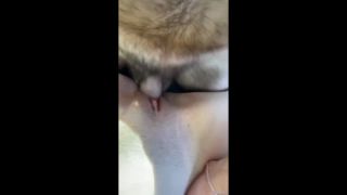 xxx video clip 23 AnnaMMara - Student with big ass fucked in the car in the parking lot - homemade - russian brunette big tits ass-6