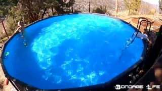 free online video 42 By The Pool With Greyhound - fetish - bdsm porn xxx bdsm anal-5
