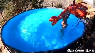 free online video 42 By The Pool With Greyhound - fetish - bdsm porn xxx bdsm anal-8