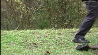 Shima 203 Sex Online Porn FullHD-2