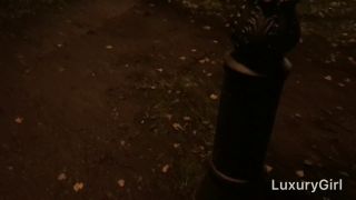 Beautiful Babe Doing Blowjob In The Park  Pov, Public  Very Hot 1080p-9