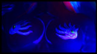 video 7 Lisa Sparkle and Sandra Iron Get Kinky Under UV Light on femdom porn peta jensen sperm dp black-1