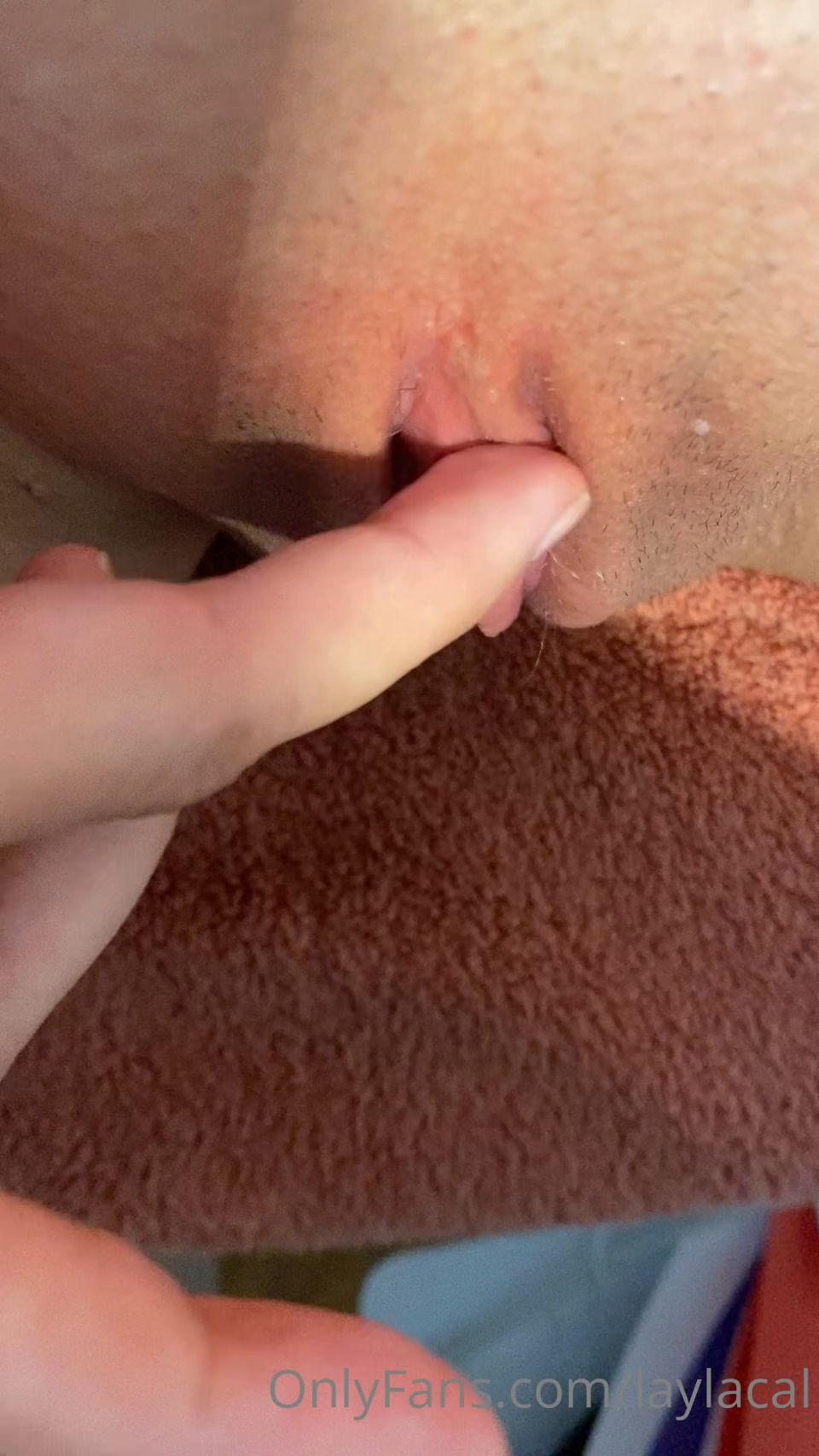 laylacal 196163915  01 0gucujvp4xafb8739xamg source