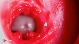 Juicy beautiful pussy squelches inside ASMR close-up inside the anus-2