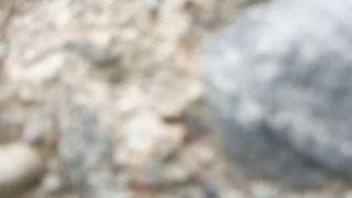 online adult video 32 combat fetish fetish porn | FOLLANDO CON DESCONOCIDO AL AIRE LIBRE Ashleysoy [Onlyfans] (FullHD 1080p) | videos-1